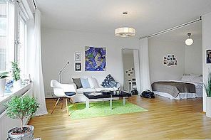 10 Μικρά διαμερίσματα ενός δωματίου με Σκανδιναβική διακόσμηση