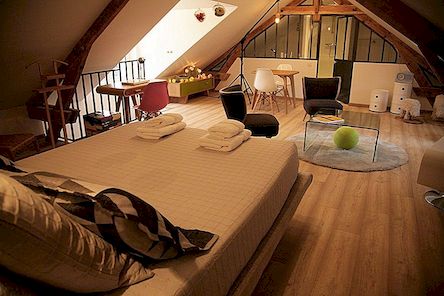 Charming Attic Guest Room in Bed & Breakfast "Chez Ric et Fer" in Frankrijk