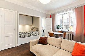 舒适的一室公寓设有窗户和镶木地板