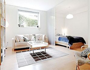Luxe interieurinterieur voor kleine appartementen