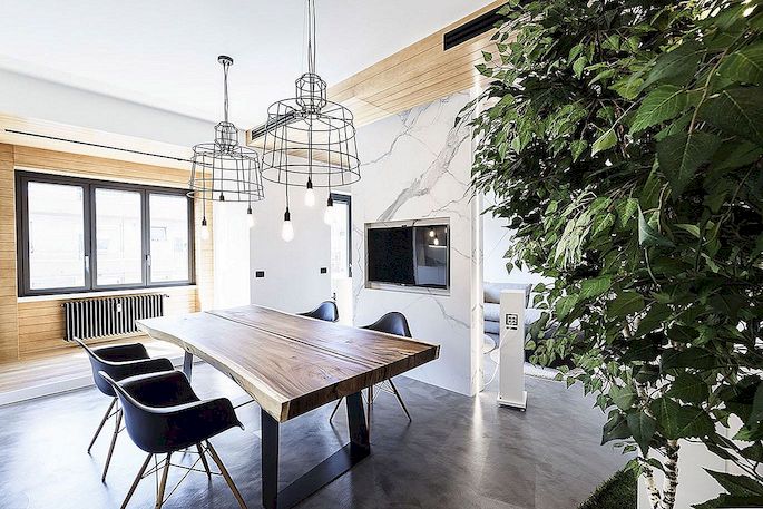 Moderní design a stromy definovat římský byt použitý pro Studio, obytný prostor