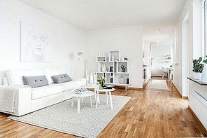 Den rena skönheten i en lägenhet med en nordisk inredning