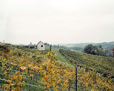 Lägg till den här österrikiska vingården till din lista över Dream Homes