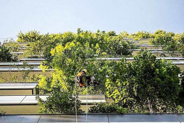 Fantastiska projekt som tar grön arkitektur till nya höjder