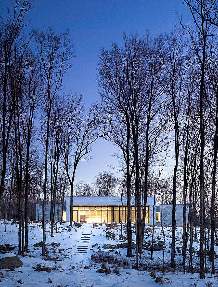 Artful House voorgesteld als een persoonlijk toevluchtsoord in het bos