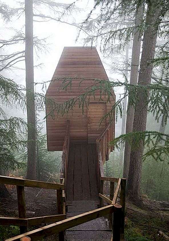 Artist's Studio in de vorm van een speelse houten Treehouse
