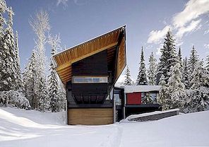 Vet Lineaire Vormen Vorm deze Canadese Ski-In Lodge