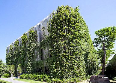 Velké světové stavby se zelenými fasádami a vertikálními zahradami