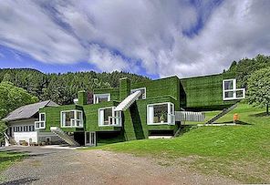 "Green Facade House" Austrijoje