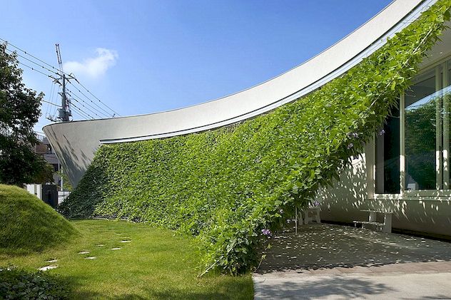 Mooie groene muur geïntegreerd in het ontwerp van een Japanse moderne wieg