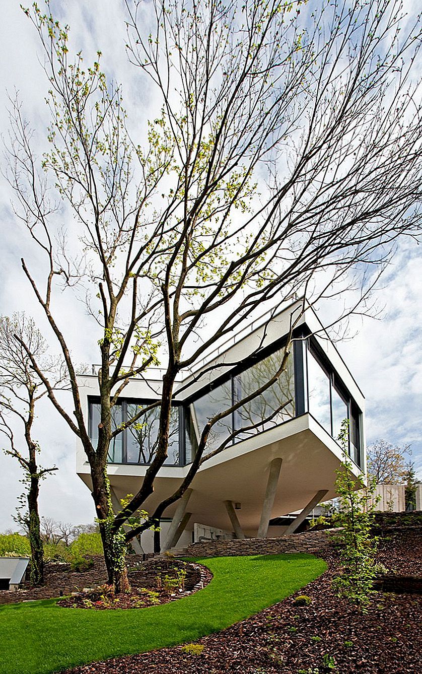 现代和功能强大的城市绿洲：布拉迪斯拉发树木之间的房子