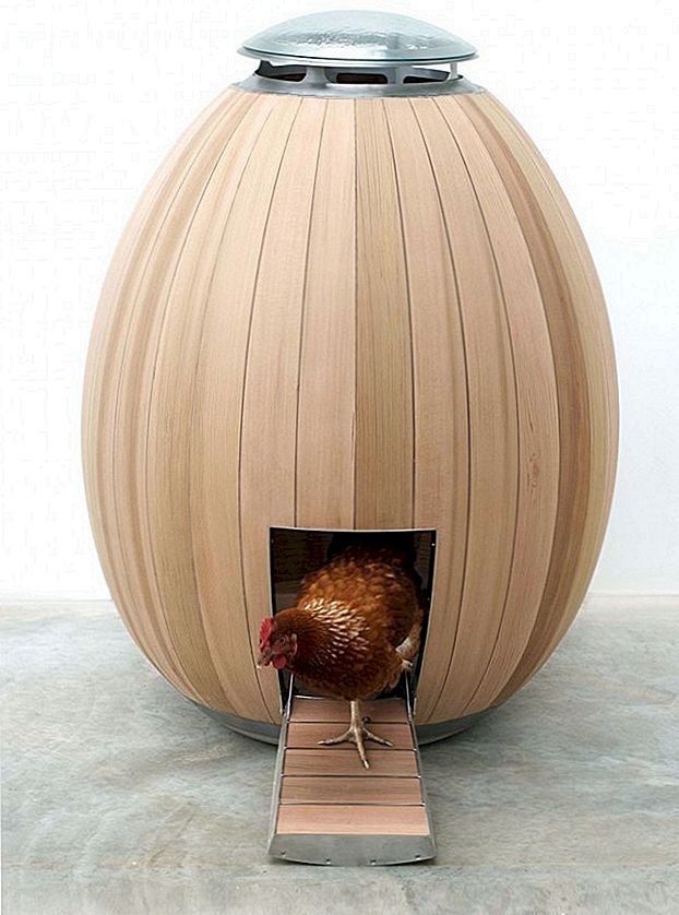 Modern chicken coop