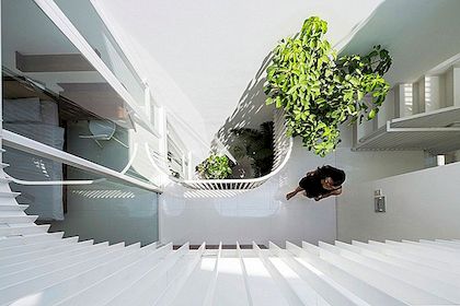 狭窄的垂直住宅最大化越南的光与空间