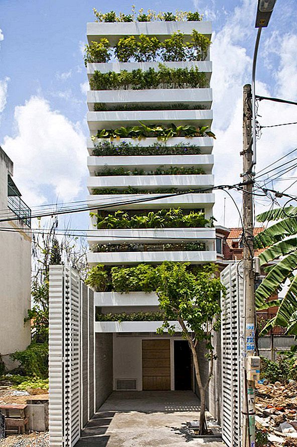 最初设计的越南家庭住宅显示绿色外墙