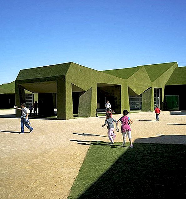 Hravý design školy pokrytý trávou
