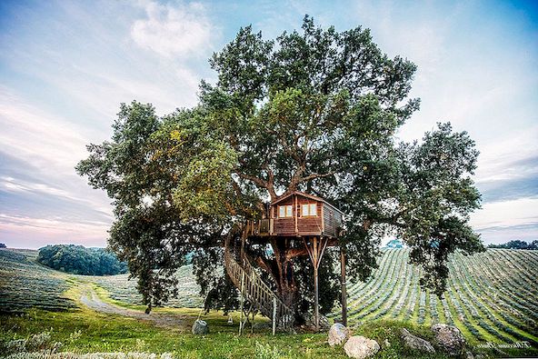 Ohromující Getaway Treehouse v italském venkově