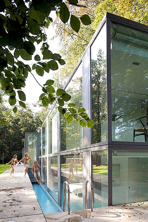 Transparant huis dat de aanwezigheid van een weelderig bos in België weerspiegelt