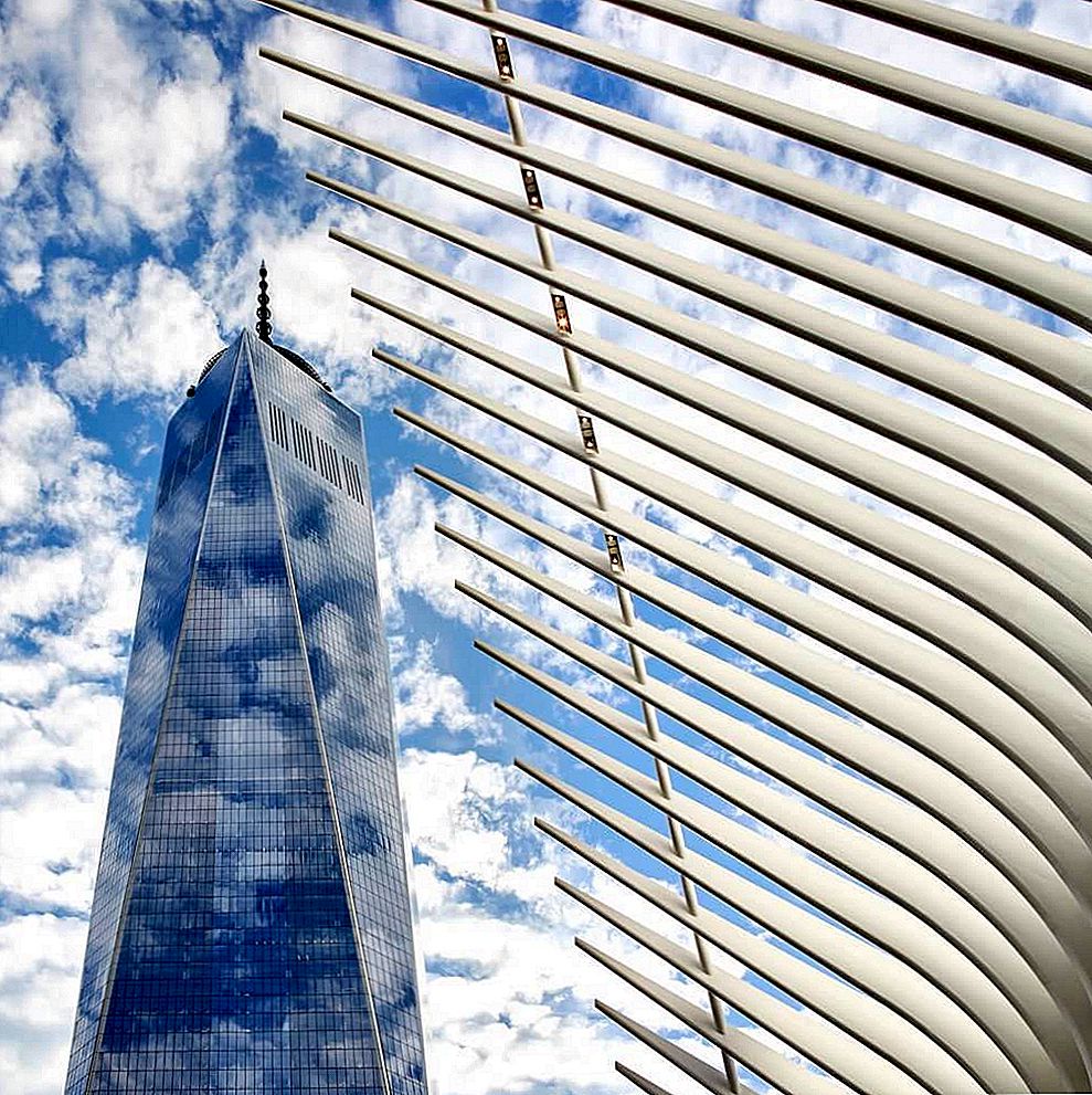 WTC Transportation Hub's adembenemende schaal