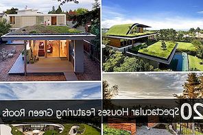20 spektakularnih hiš z zelenimi strehami