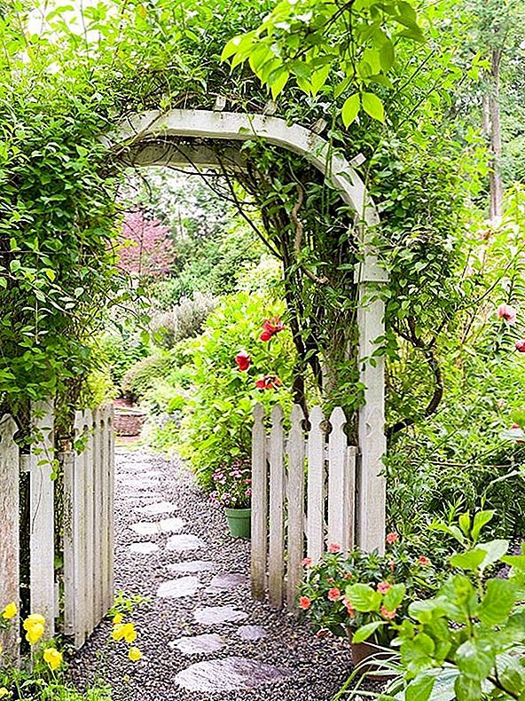 55 iedvesmojošas ceļu idejas skaistam mājas dārzam