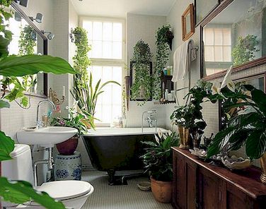 Geriausi jūsų vonios kambarius atitinkančios augalai - šviežios dekoro idėjos