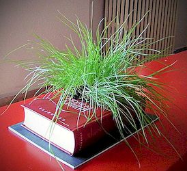Creatieve plantenbakken gemaakt van gerecyclede oude boeken