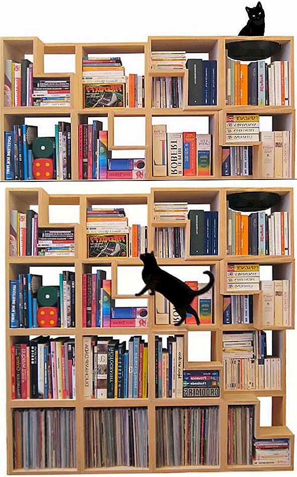 Feline-Friendly Modular Bookcase