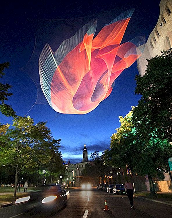 Vynikající forma veřejného umění: Letecké sochy Janet Echelman [Video]