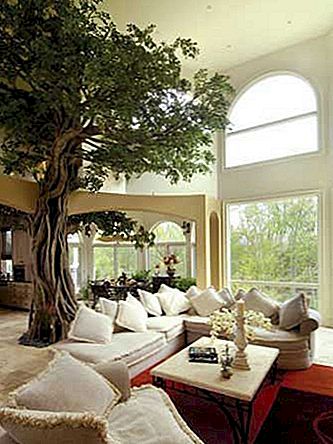 Drevo znotraj vašega doma po NatureMaker