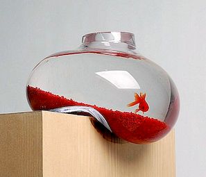 Inovativna ideja: iskrivljeni akvarij dizajnom Psalt