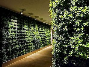 Aangepaste groene muren voor frisse interieurs door Greenworks
