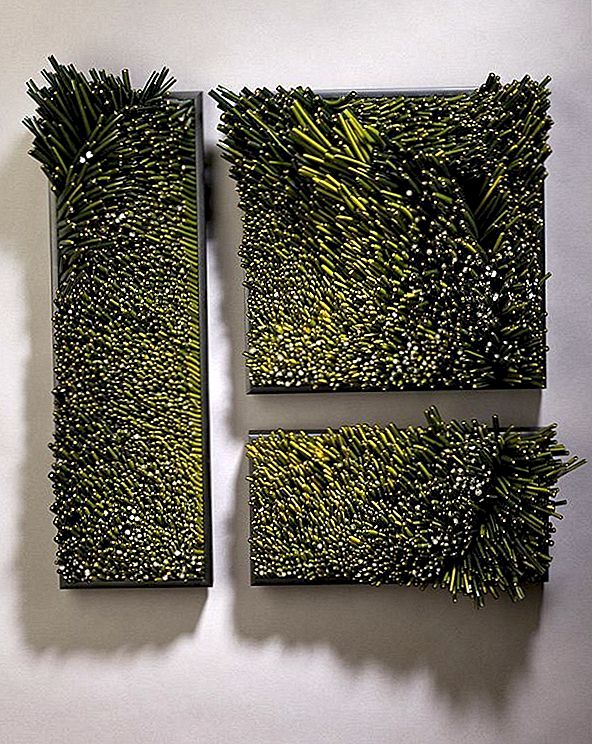 艺术家Shayna Leib的迷人雕塑玻璃艺术