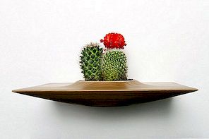 Friska växtskivor, en idé för att uppmuntra din lägenhet