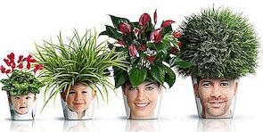 Fun Planters zobrazující známé tváře z dobra studia: The Facepot