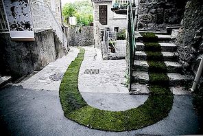绿色地毯安装遵循风景如画的步行道