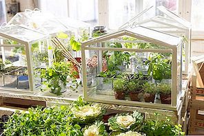 Řešení IKEA pro městské zahradníky: Mini SOCKER skleníky