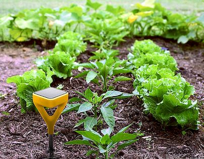 Nepostradatelný nástroj pro moderní zahradníky: Edyn Garden Sensor a vodní ventil