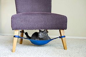 Ingenieuze hangmatachtige kattenbak past perfect in kleine huizen