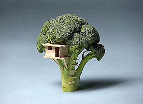 Intressant närvarande från far till son: Broccoli House