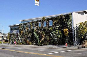 Bức tường sống lớn nhất ở Bắc Mỹ: Thư viện Semiahmoo Green Wall