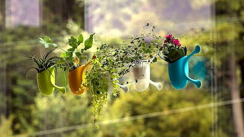 Livi podiže zdjelu biljke s vertikalnim vrtovima za viseće staze