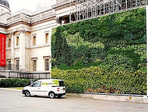 伦敦的Living Wall模仿Van Gogh的绘画
