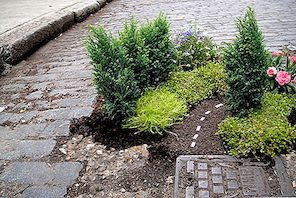 Miniaturni vrtovi Pothole Risanje pozornosti na stanje nekaterih londonskih cest