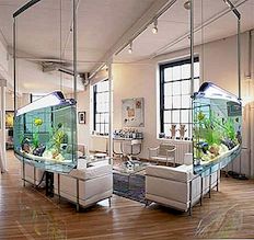 Moderni akvarij: Prostorij