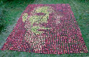 Skutečné jablka tvořící poctu Portrét Steve Jobs
