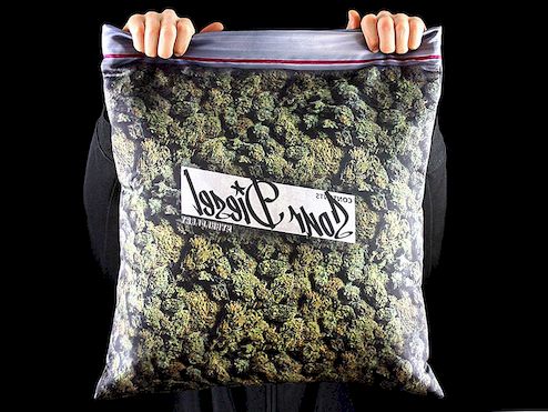 Laat je hoofd rusten op de met cannabis bedrukte Giant Stash kussensloop