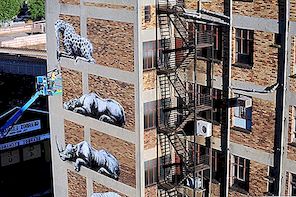 六种野生动物将南非约翰内斯堡的街头艺术带到了新的高度