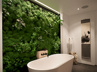 绿色生活的终极指南使用10个时尚，环保的公寓理念