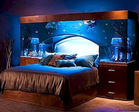 Een spectaculair hoofdeinde-aquarium van Acrylic Tank Manufacturers