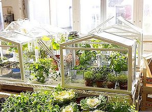 Prisvärd Mini Greenhouse av IKEA
